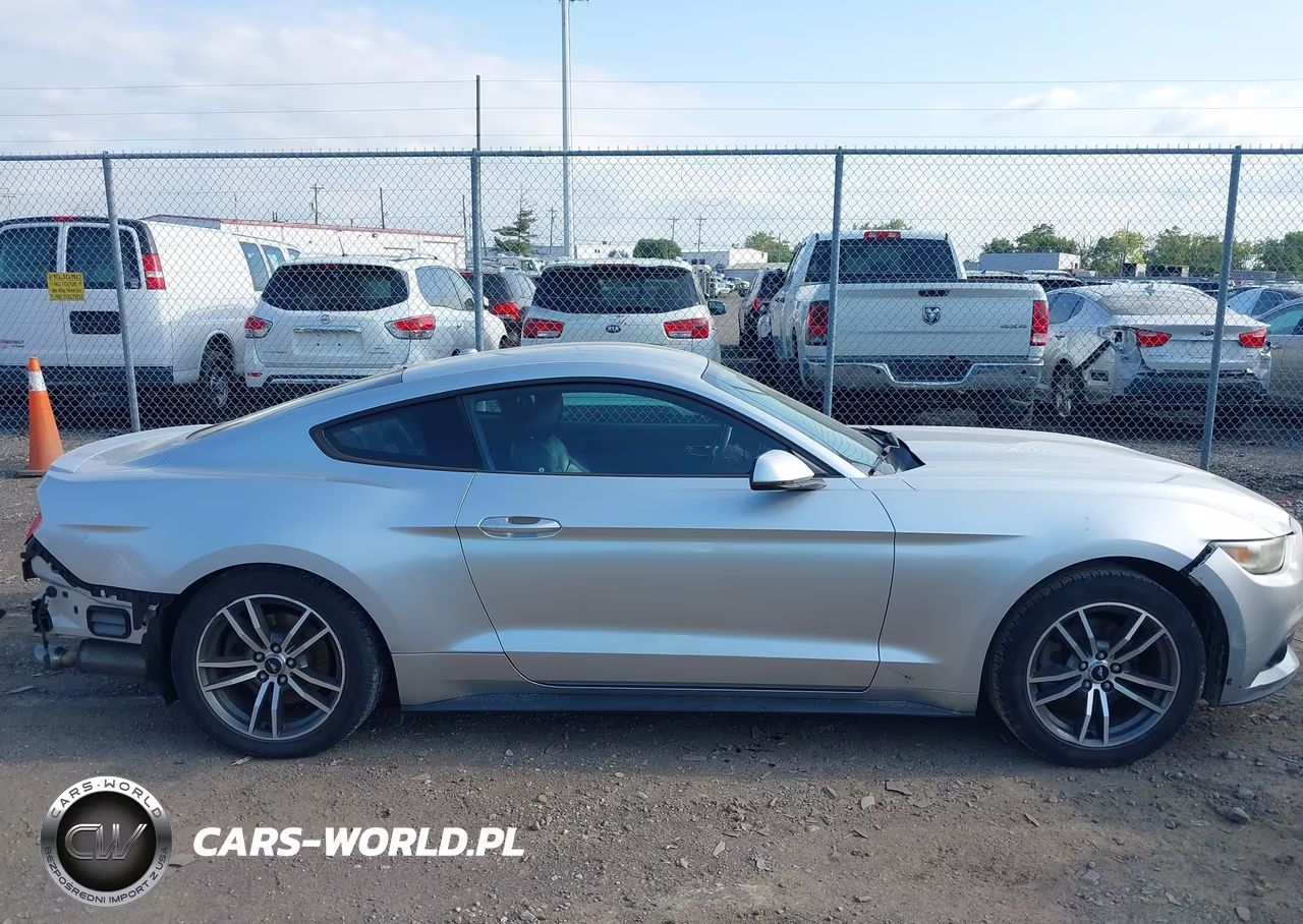 2015 Ford Mustang Ecoboost VIN:1FA6P8TH4F5330652 - 13