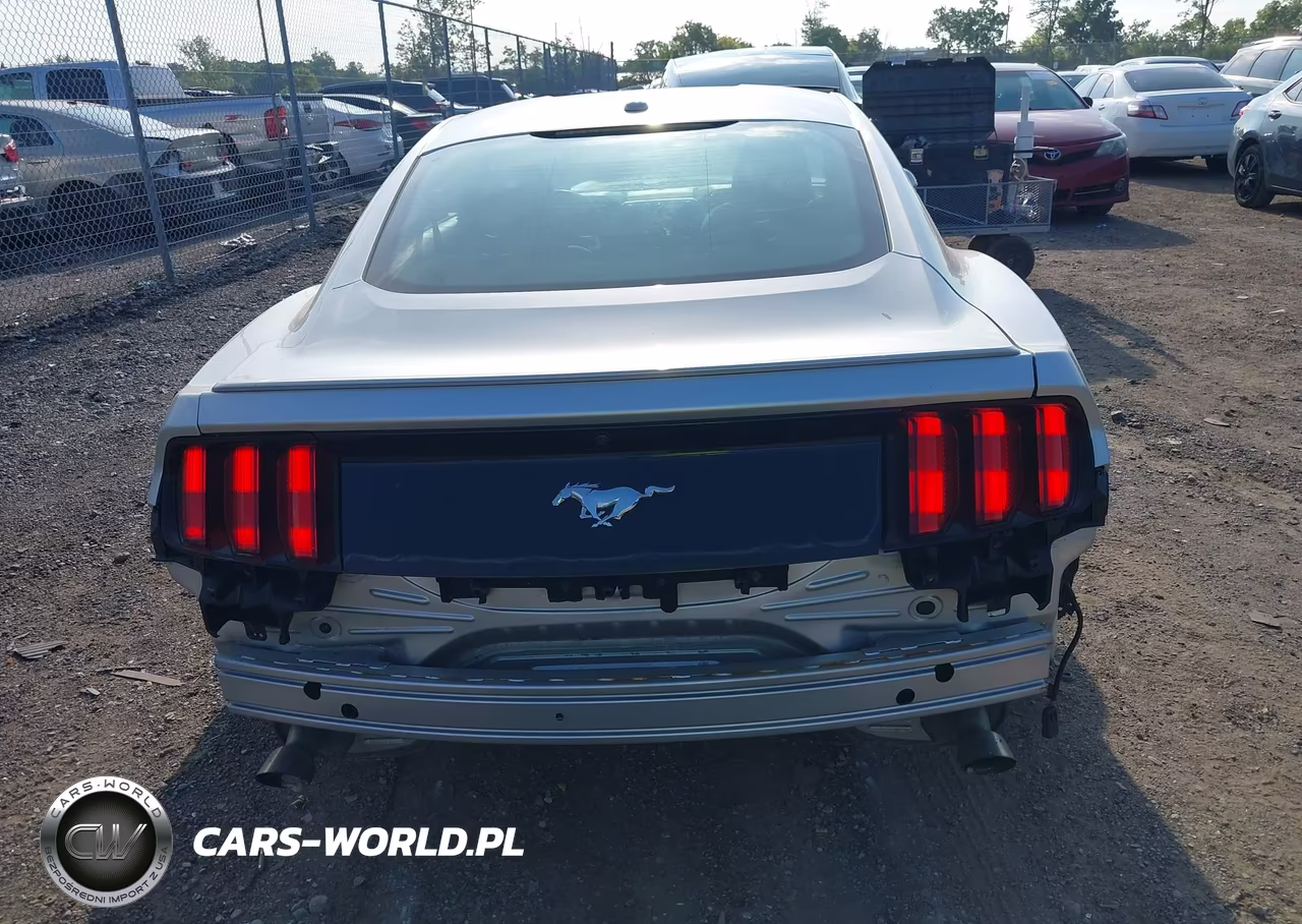 2015 Ford Mustang Ecoboost VIN:1FA6P8TH4F5330652 - 16