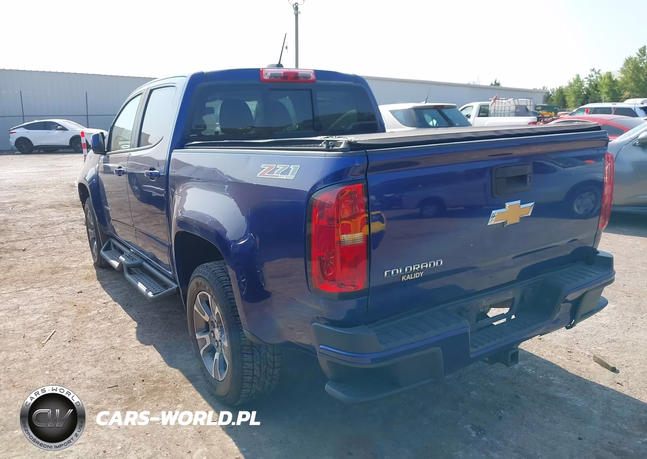 2016 Chevrolet Colorado 4Wd Z71 VIN:1GCGTDE30G1362561 - 3
