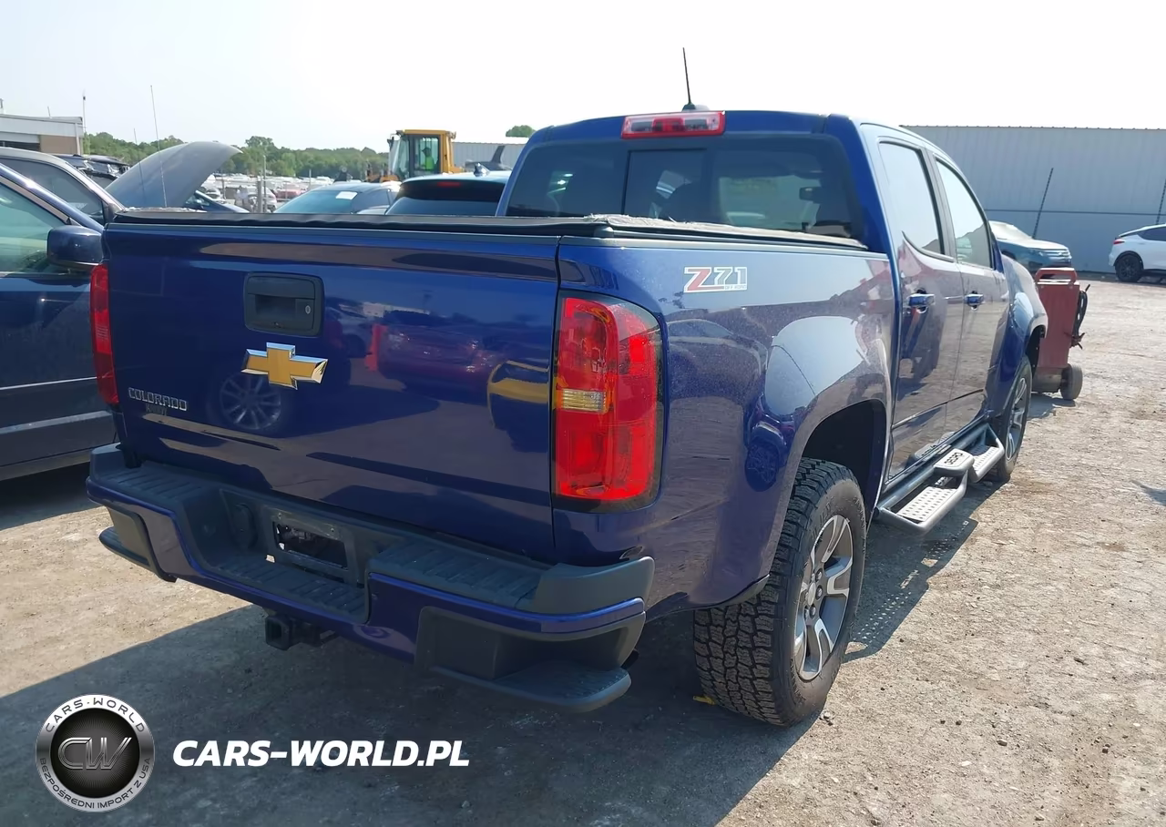 2016 Chevrolet Colorado 4Wd Z71 VIN:1GCGTDE30G1362561 - 4