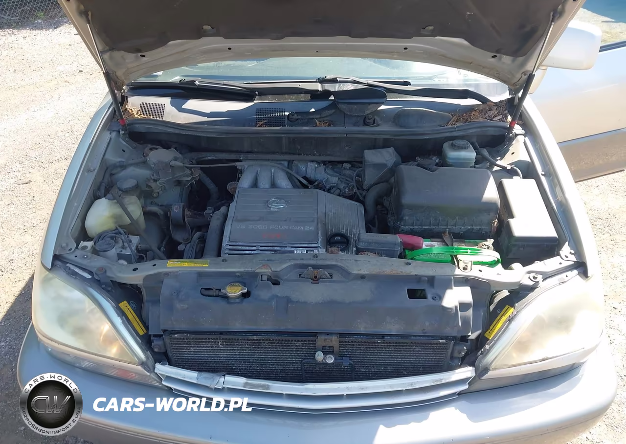 2001 Lexus Rx 300 VIN:JTJHF10U310172337 - 10