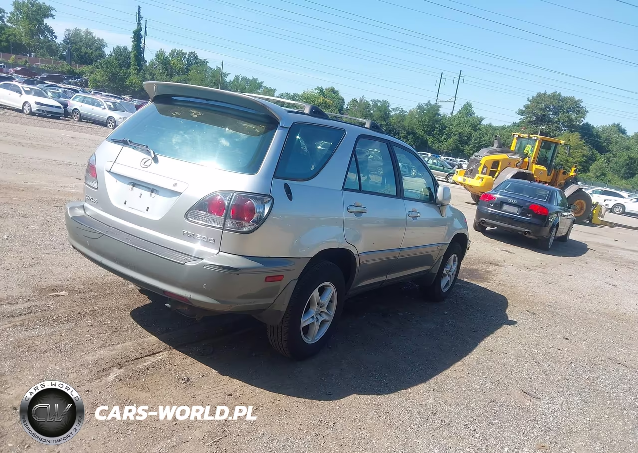 2001 Lexus Rx 300 VIN:JTJHF10U310172337 - 4