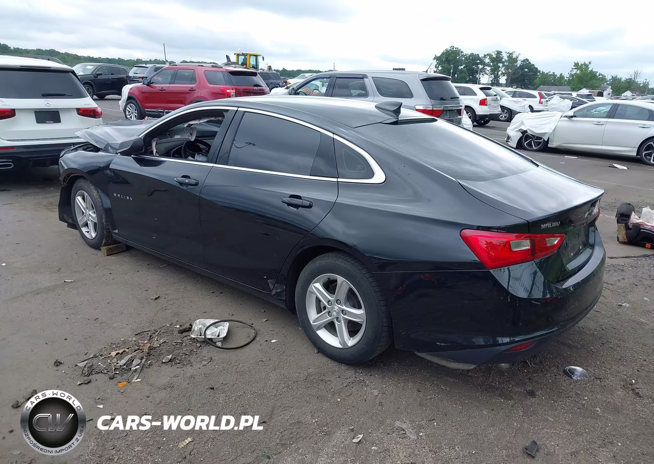 2023 Chevrolet Malibu Fwd Ls VIN:1G1ZB5ST2PF250734 - 3