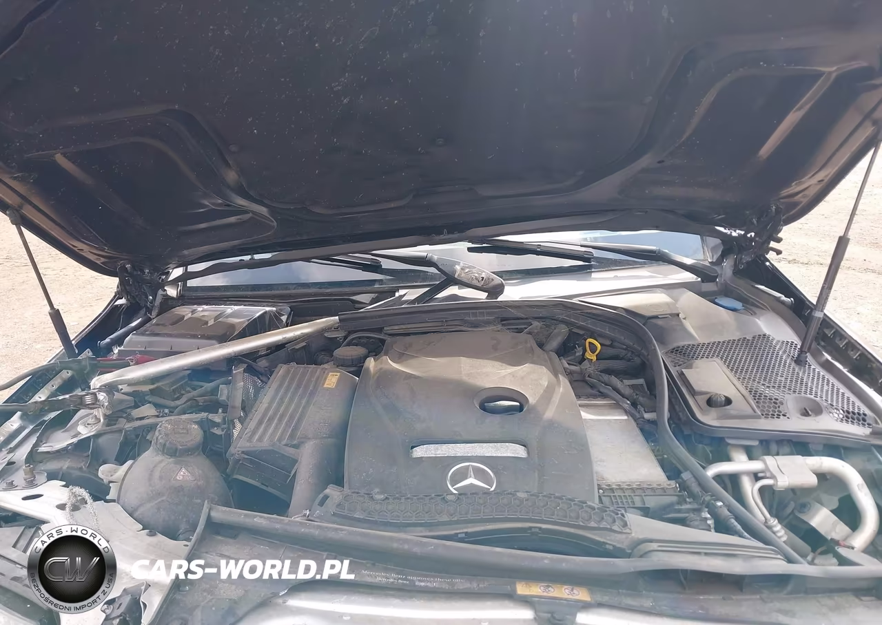 2017 Mercedes-Benz C 300 VIN:WDDWJ4JB0HF354078 - 10