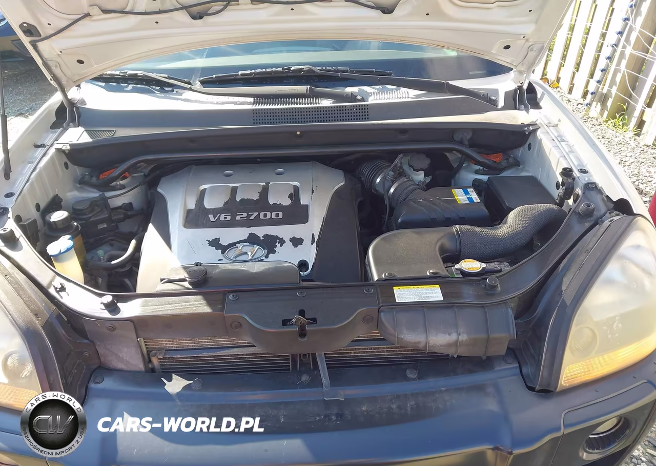 2006 Hyundai Tucson Gls-Limited VIN:KM8JN72D86U354814 - 10