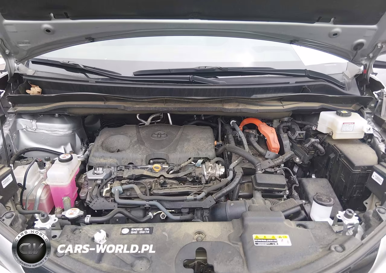 2024 Toyota Sienna Platinum VIN:5TDESKFC3RS145525 - 10
