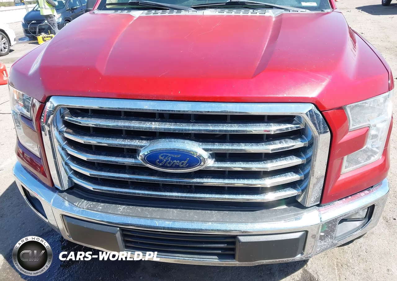 2015 Ford F-150 Xlt VIN:1FTEW1CP1FKD20279 - 13
