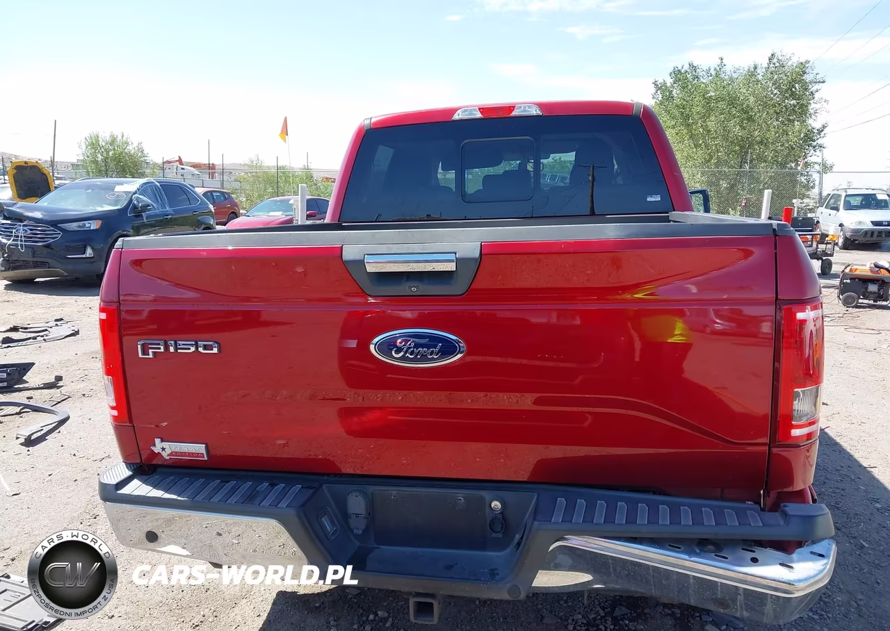 2015 Ford F-150 Xlt VIN:1FTEW1CP1FKD20279 - 17