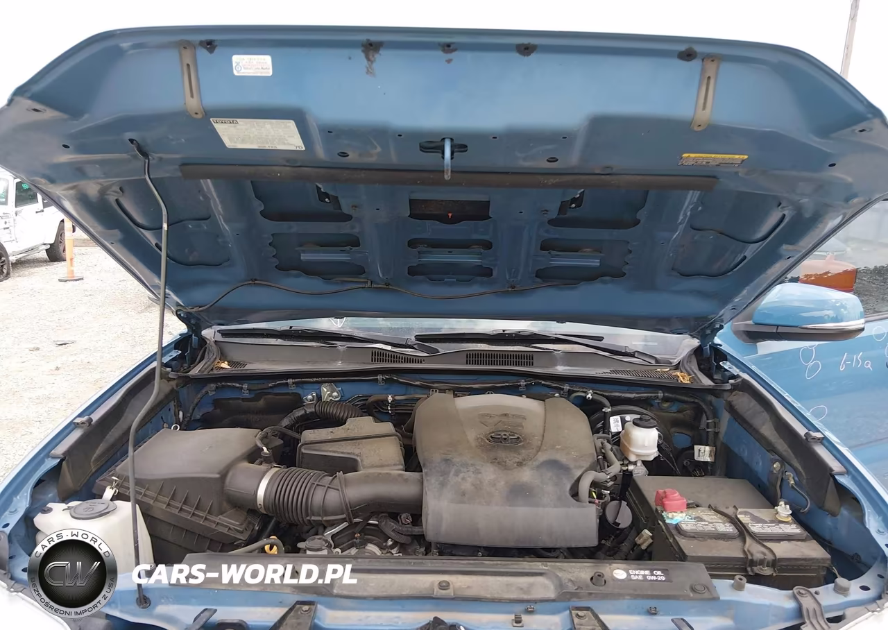 2019 Toyota Tacoma Trd Sport VIN:3TMCZ5AN7KM281157 - 10