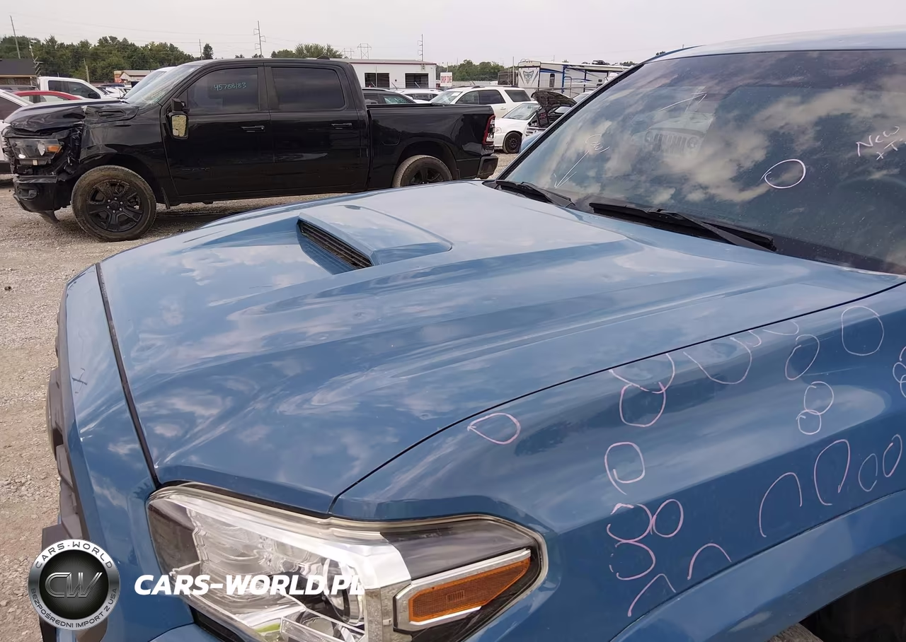 2019 Toyota Tacoma Trd Sport VIN:3TMCZ5AN7KM281157 - 6