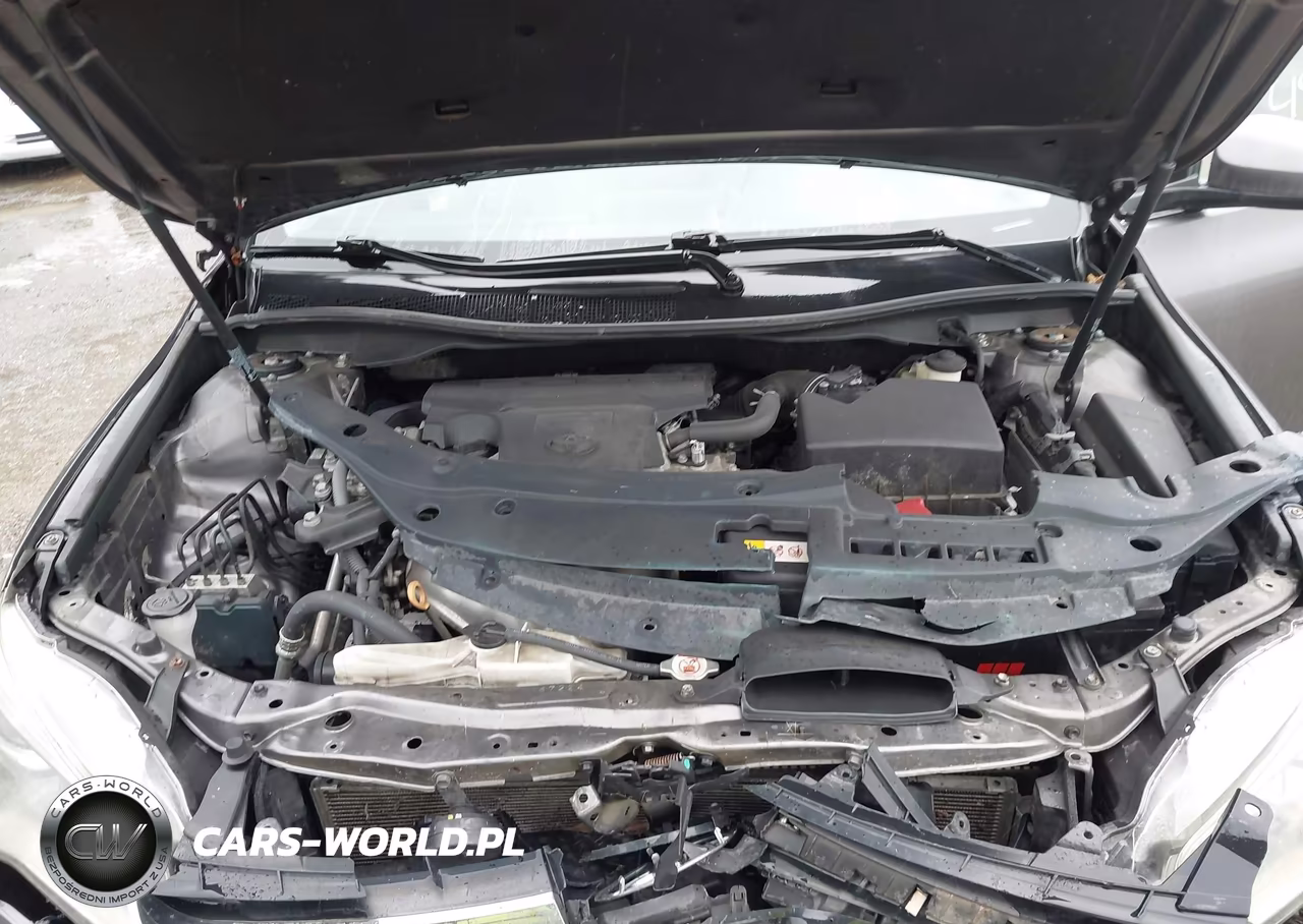 2017 Toyota Camry Se VIN:4T1BF1FK6HU695493 - 10