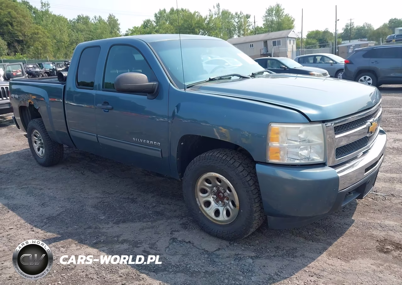 2010 Chevrolet Silverado 1500 Ls