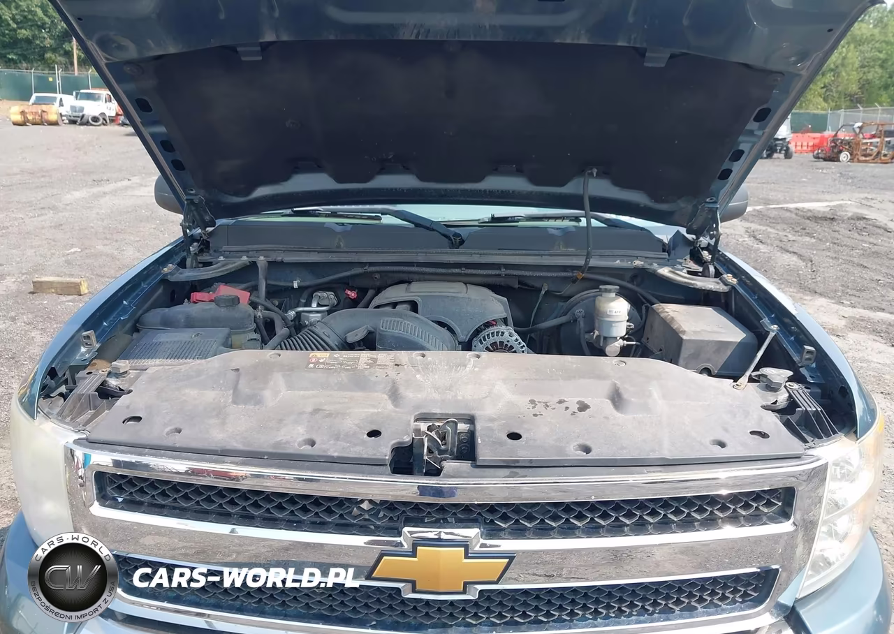 2010 Chevrolet Silverado 1500 Ls VIN:1GCSKREAXAZ238850 - 10
