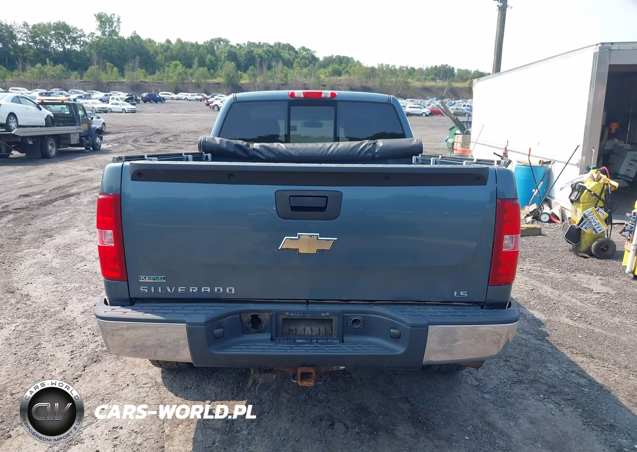 2010 Chevrolet Silverado 1500 Ls VIN:1GCSKREAXAZ238850 - 16