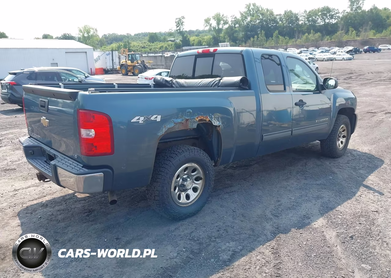 2010 Chevrolet Silverado 1500 Ls VIN:1GCSKREAXAZ238850 - 4