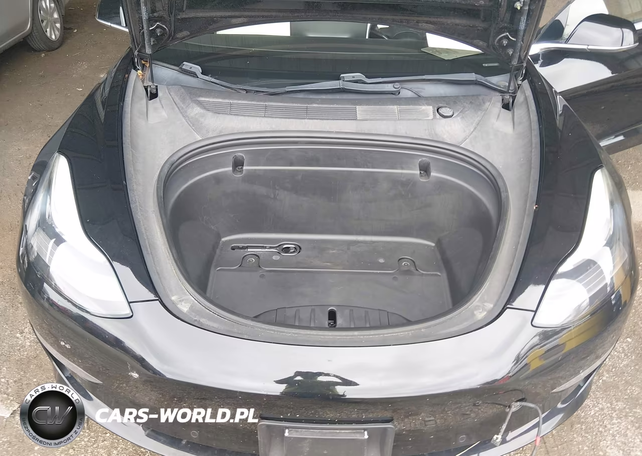 2020 Tesla Model 3 Standard Range Plus Rear-Wheel Drive-Standard Range Rear-Wheel Drive VIN:5YJ3E1EA1LF606810 - 10