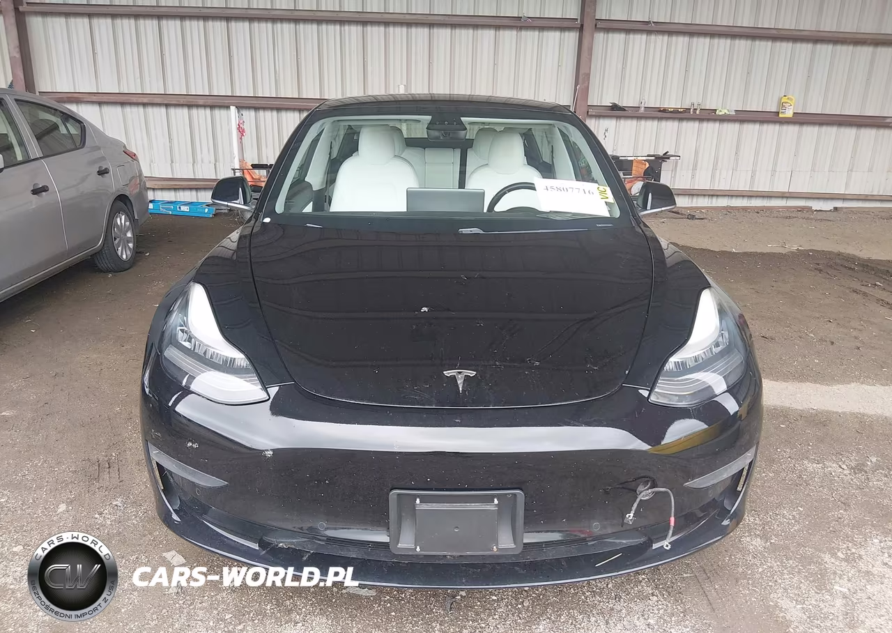 2020 Tesla Model 3 Standard Range Plus Rear-Wheel Drive-Standard Range Rear-Wheel Drive VIN:5YJ3E1EA1LF606810 - 12