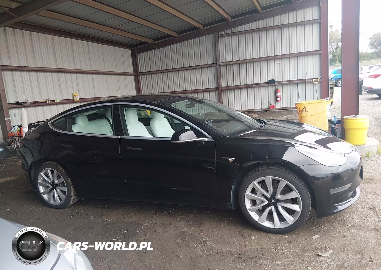 2020 Tesla Model 3 Standard Range Plus Rear-Wheel Drive-Standard Range Rear-Wheel Drive VIN:5YJ3E1EA1LF606810 - 13