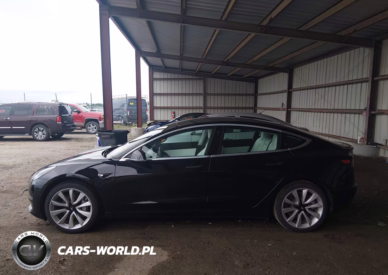 2020 Tesla Model 3 Standard Range Plus Rear-Wheel Drive-Standard Range Rear-Wheel Drive VIN:5YJ3E1EA1LF606810 - 14