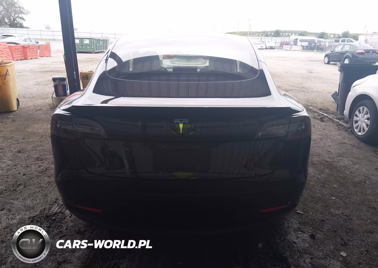 2020 Tesla Model 3 Standard Range Plus Rear-Wheel Drive-Standard Range Rear-Wheel Drive VIN:5YJ3E1EA1LF606810 - 16