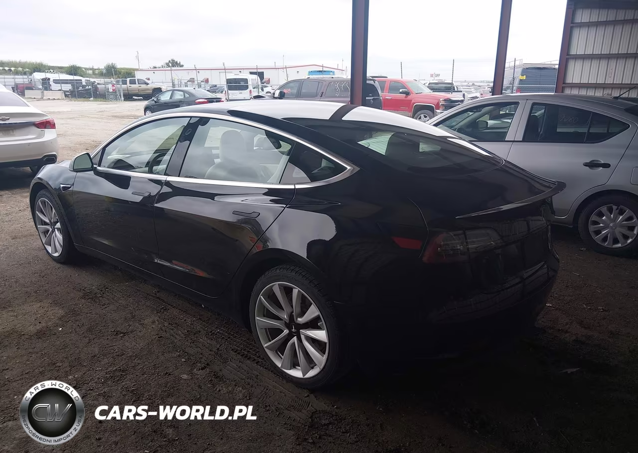 2020 Tesla Model 3 Standard Range Plus Rear-Wheel Drive-Standard Range Rear-Wheel Drive VIN:5YJ3E1EA1LF606810 - 3