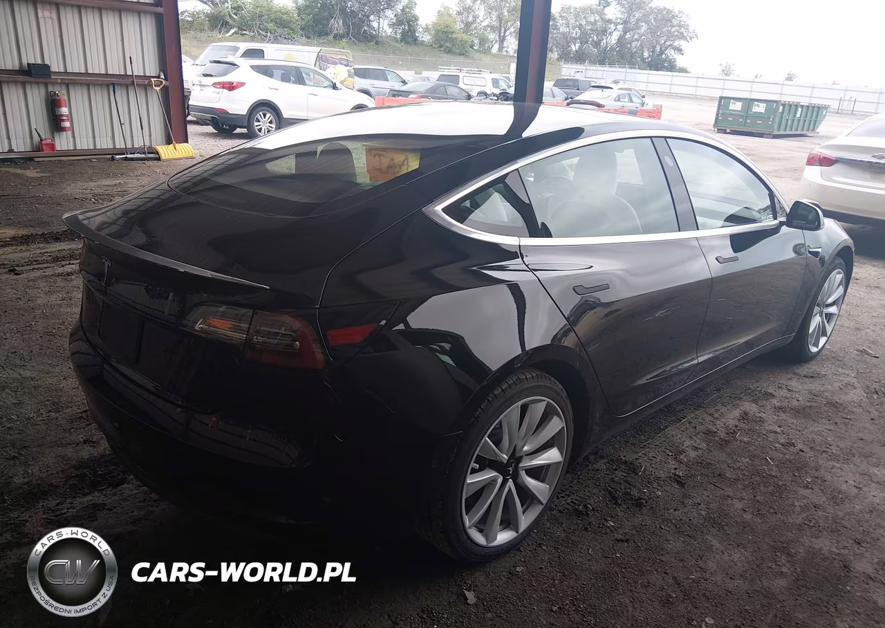 2020 Tesla Model 3 Standard Range Plus Rear-Wheel Drive-Standard Range Rear-Wheel Drive VIN:5YJ3E1EA1LF606810 - 4