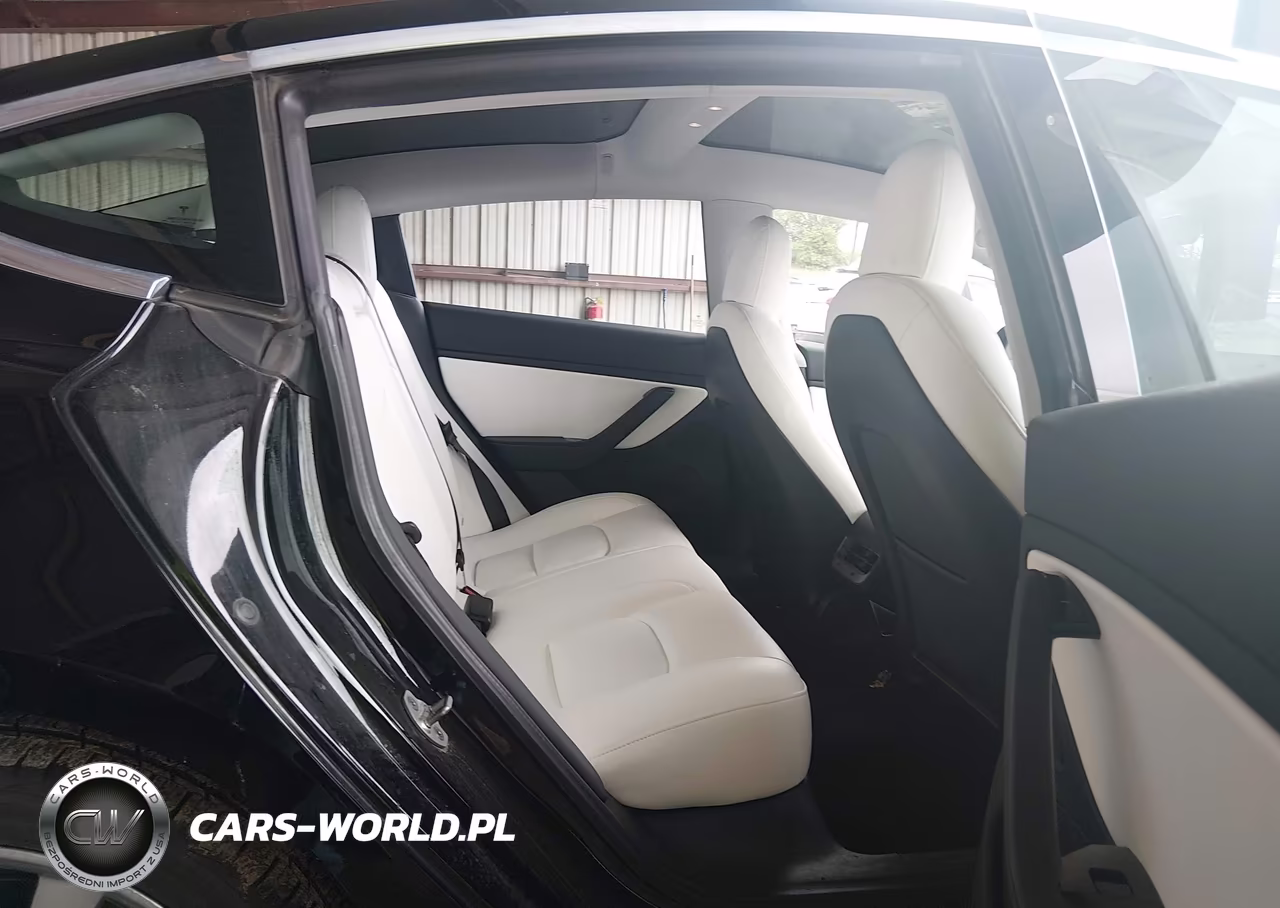 2020 Tesla Model 3 Standard Range Plus Rear-Wheel Drive-Standard Range Rear-Wheel Drive VIN:5YJ3E1EA1LF606810 - 8