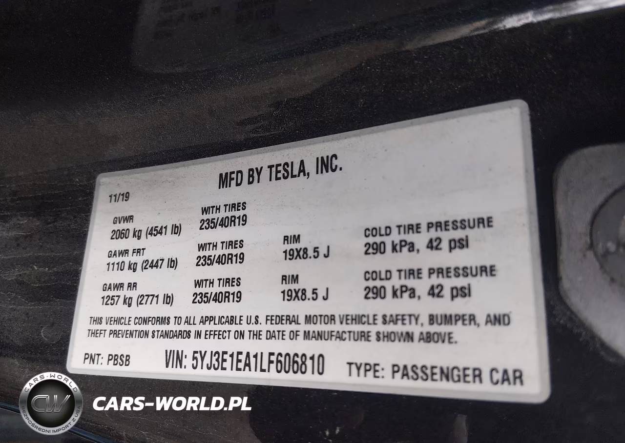 2020 Tesla Model 3 Standard Range Plus Rear-Wheel Drive-Standard Range Rear-Wheel Drive VIN:5YJ3E1EA1LF606810 - 9