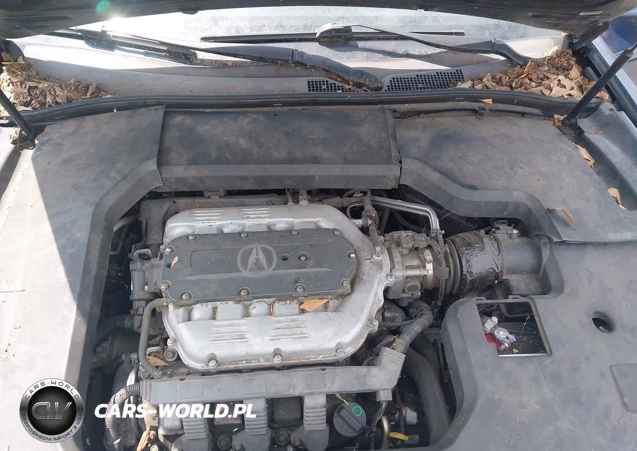 2009 Acura Tl 3.5 VIN:19UUA86219A024483 - 10