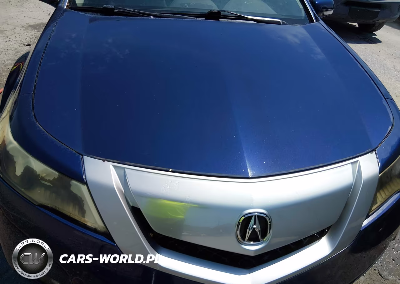 2009 Acura Tl 3.5 VIN:19UUA86219A024483 - 6