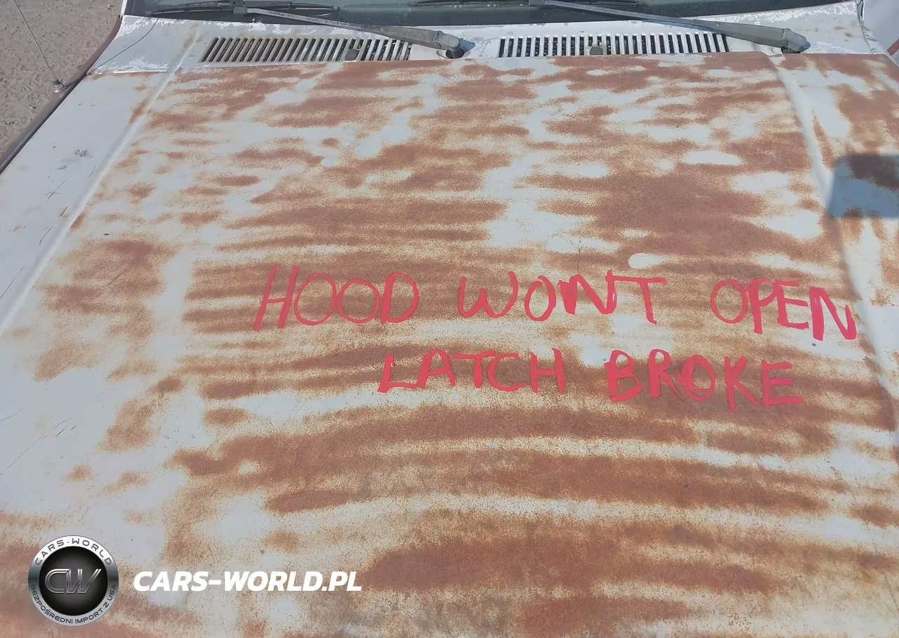 1994 Dodge Dakota VIN:1B7GL23Y2RS531110 - 10