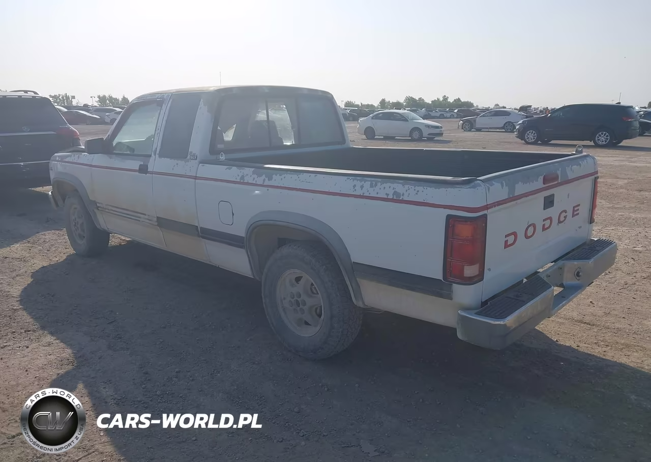 1994 Dodge Dakota VIN:1B7GL23Y2RS531110 - 3