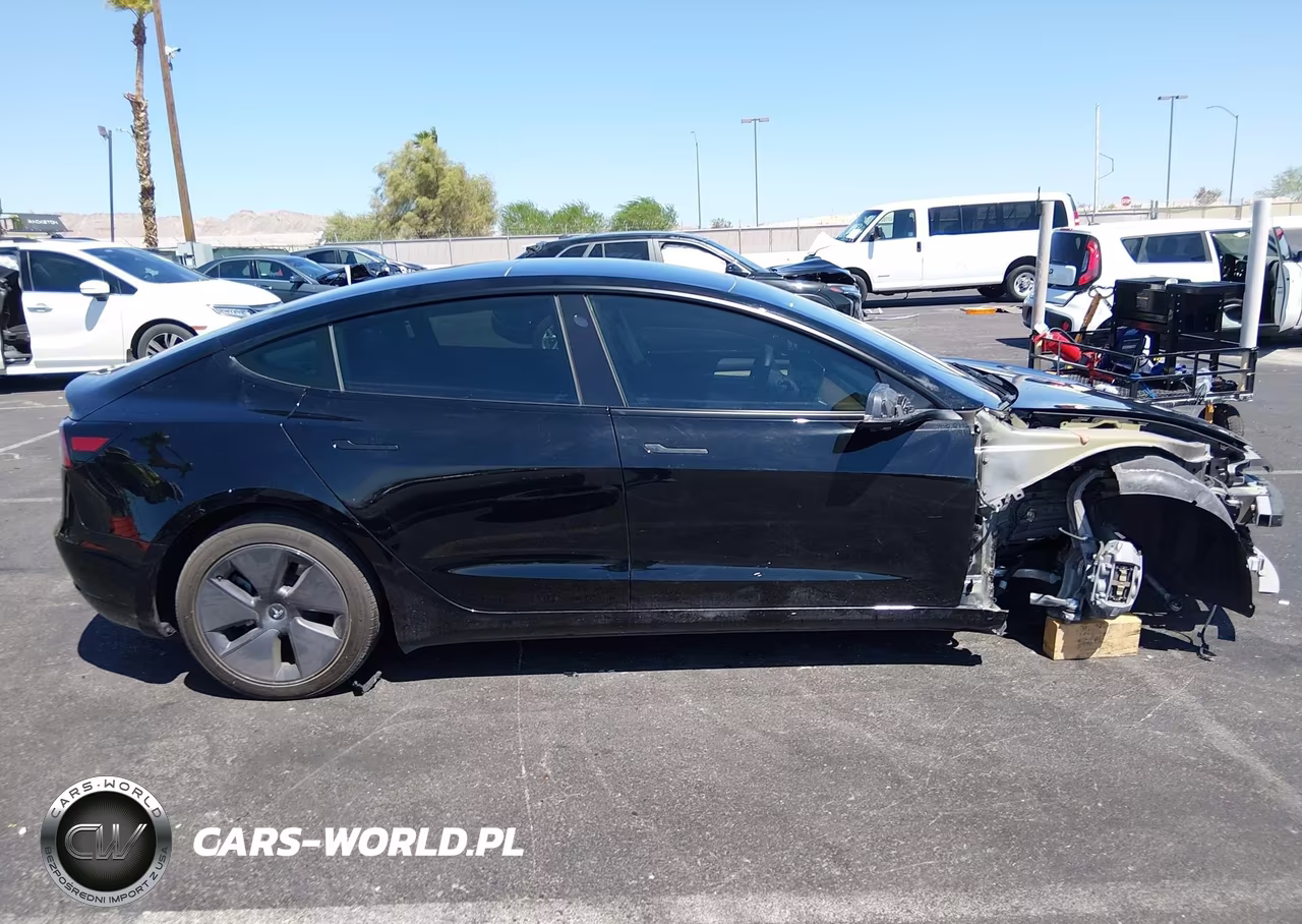 2023 Tesla Model 3 Rear-Wheel Drive VIN:5YJ3E1EA1PF464982 - 11