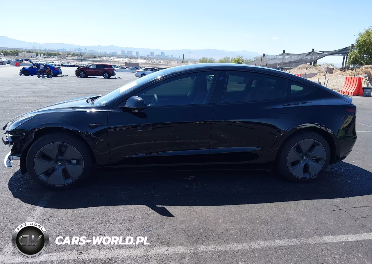 2023 Tesla Model 3 Rear-Wheel Drive VIN:5YJ3E1EA1PF464982 - 12