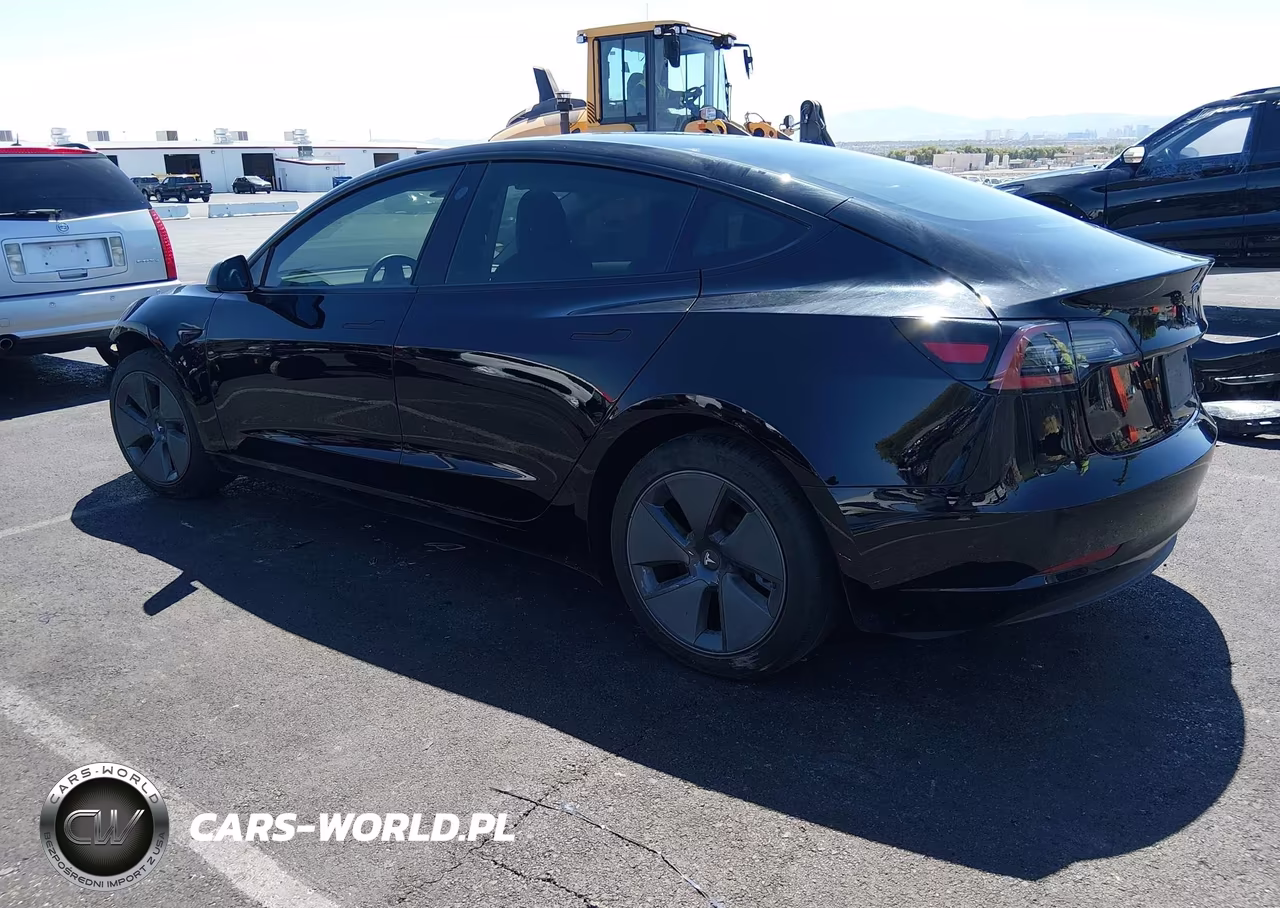 2023 Tesla Model 3 Rear-Wheel Drive VIN:5YJ3E1EA1PF464982 - 3