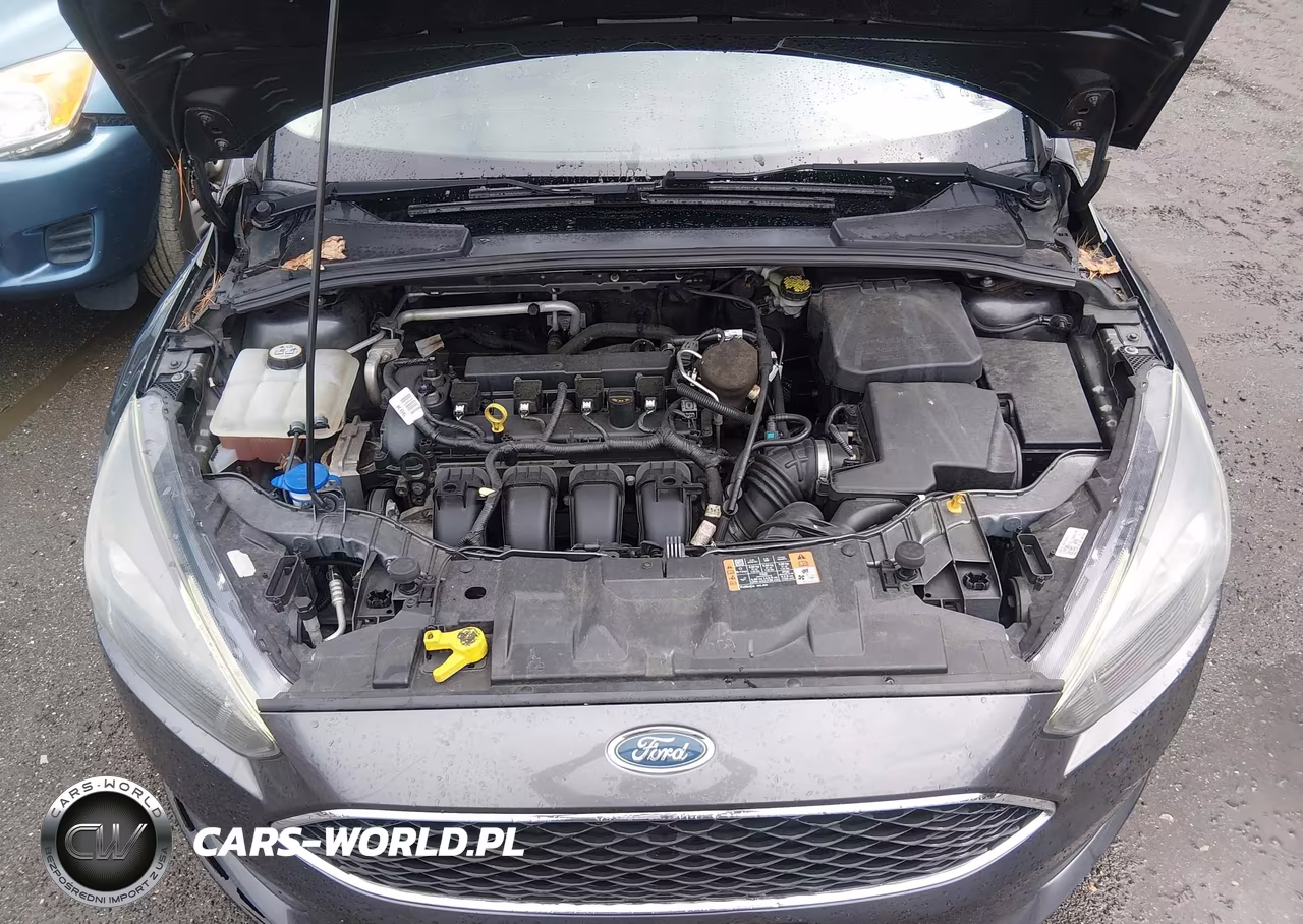 2015 Ford Focus Se VIN:1FADP3F29FL319417 - 10