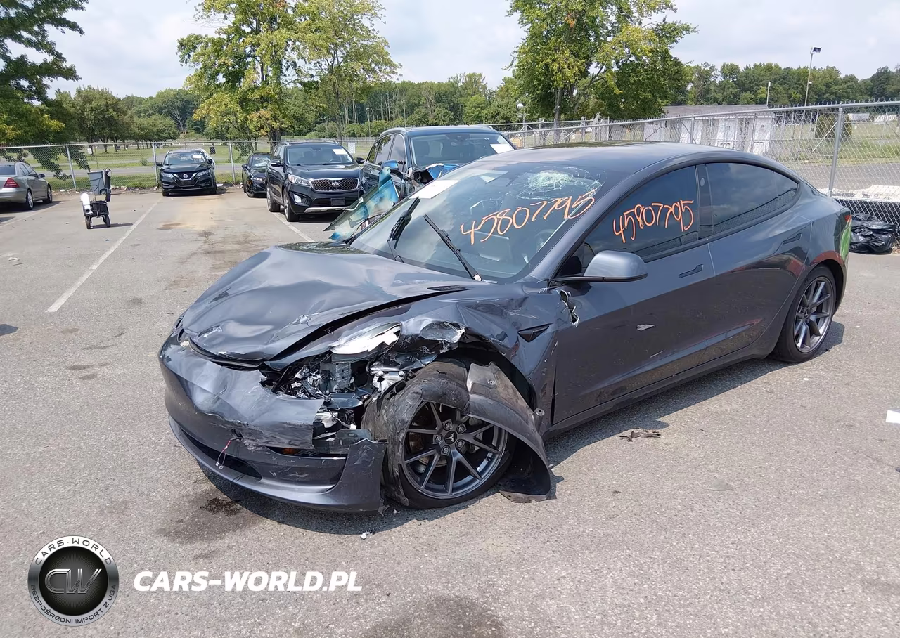 2023 Tesla Model 3 Rear-Wheel Drive VIN:5YJ3E1EA3PF665976 - 2