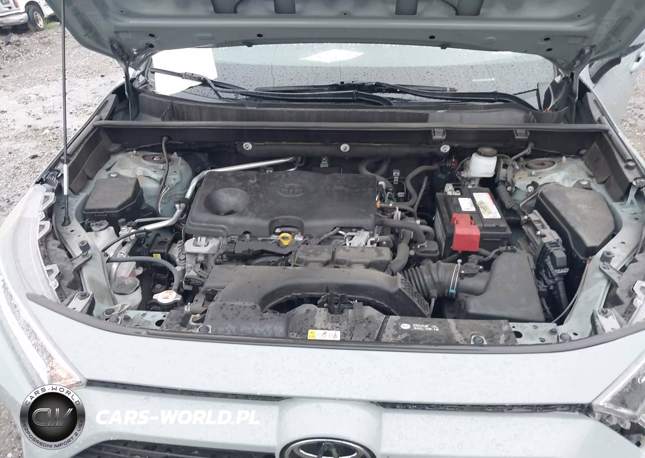 2019 Toyota Rav4 Xle Premium VIN:JTMA1RFV3KJ023360 - 10