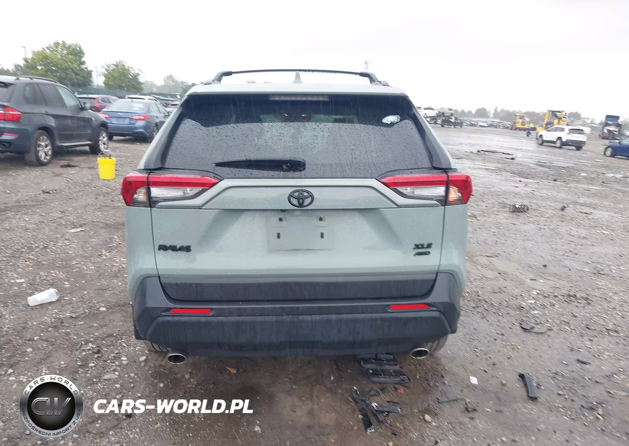2019 Toyota Rav4 Xle Premium VIN:JTMA1RFV3KJ023360 - 17