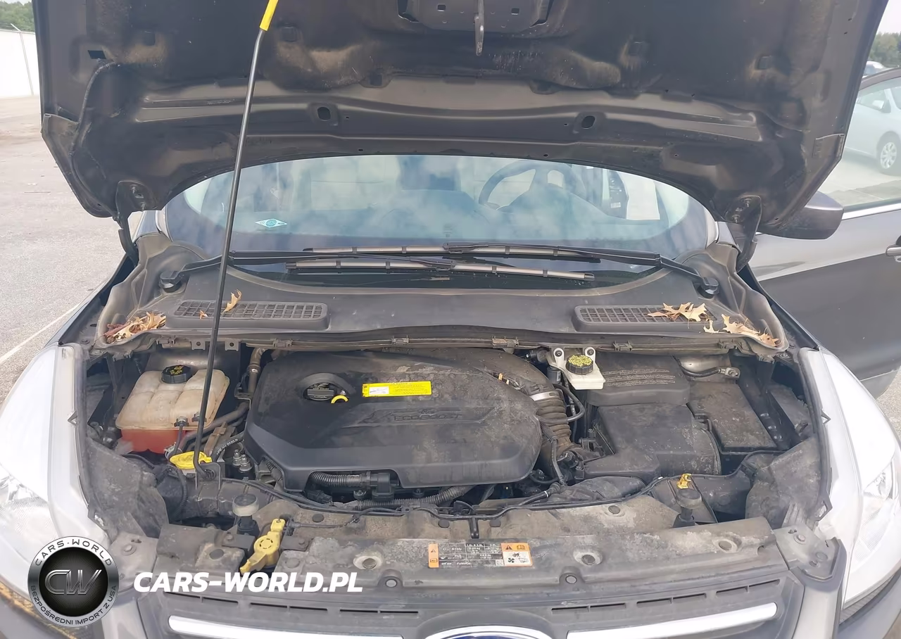 2015 Ford Escape Se VIN:1FMCU0GX6FUB02534 - 10