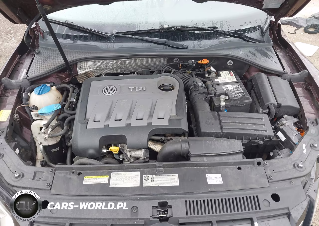 2014 Volkswagen Passat 2.0L Tdi Sel Premium VIN:1VWCN7A36EC085803 - 10