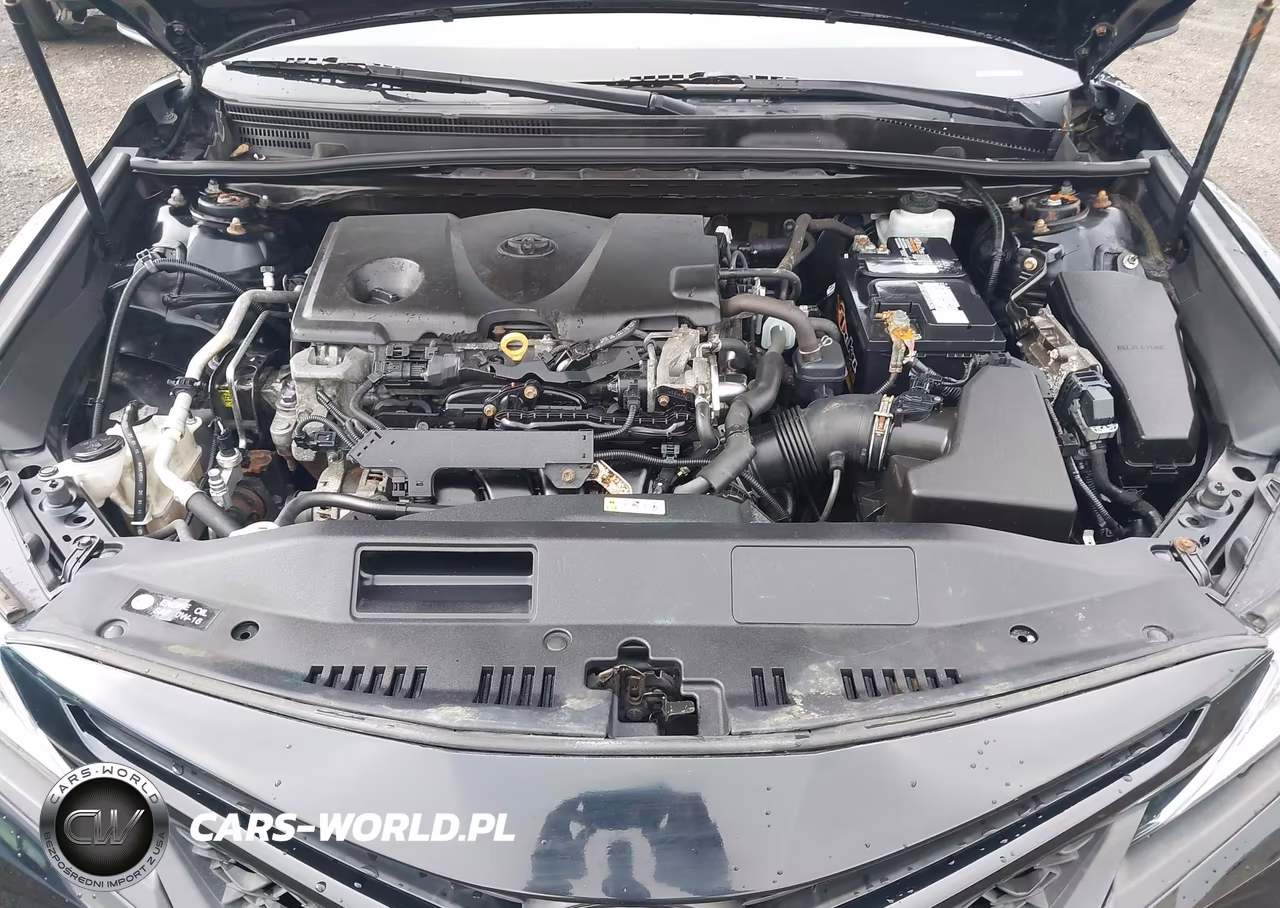 2020 Toyota Camry Se VIN:4T1G11AK3LU862459 - 10