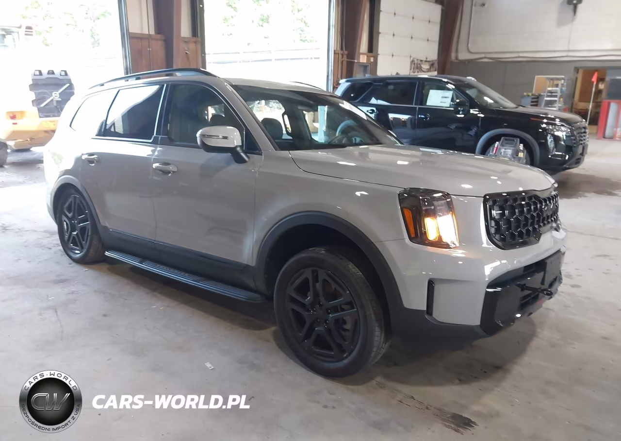 2025 Kia Telluride Ex X-Line VIN:5XYP3DGC3SG649012 - 1