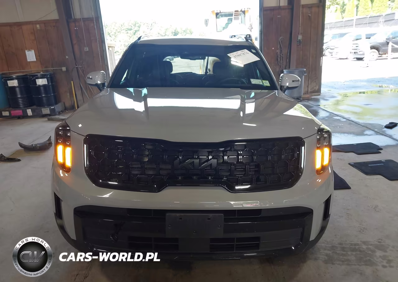 2025 Kia Telluride Ex X-Line VIN:5XYP3DGC3SG649012 - 12