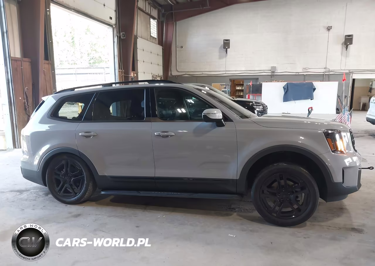 2025 Kia Telluride Ex X-Line VIN:5XYP3DGC3SG649012 - 13