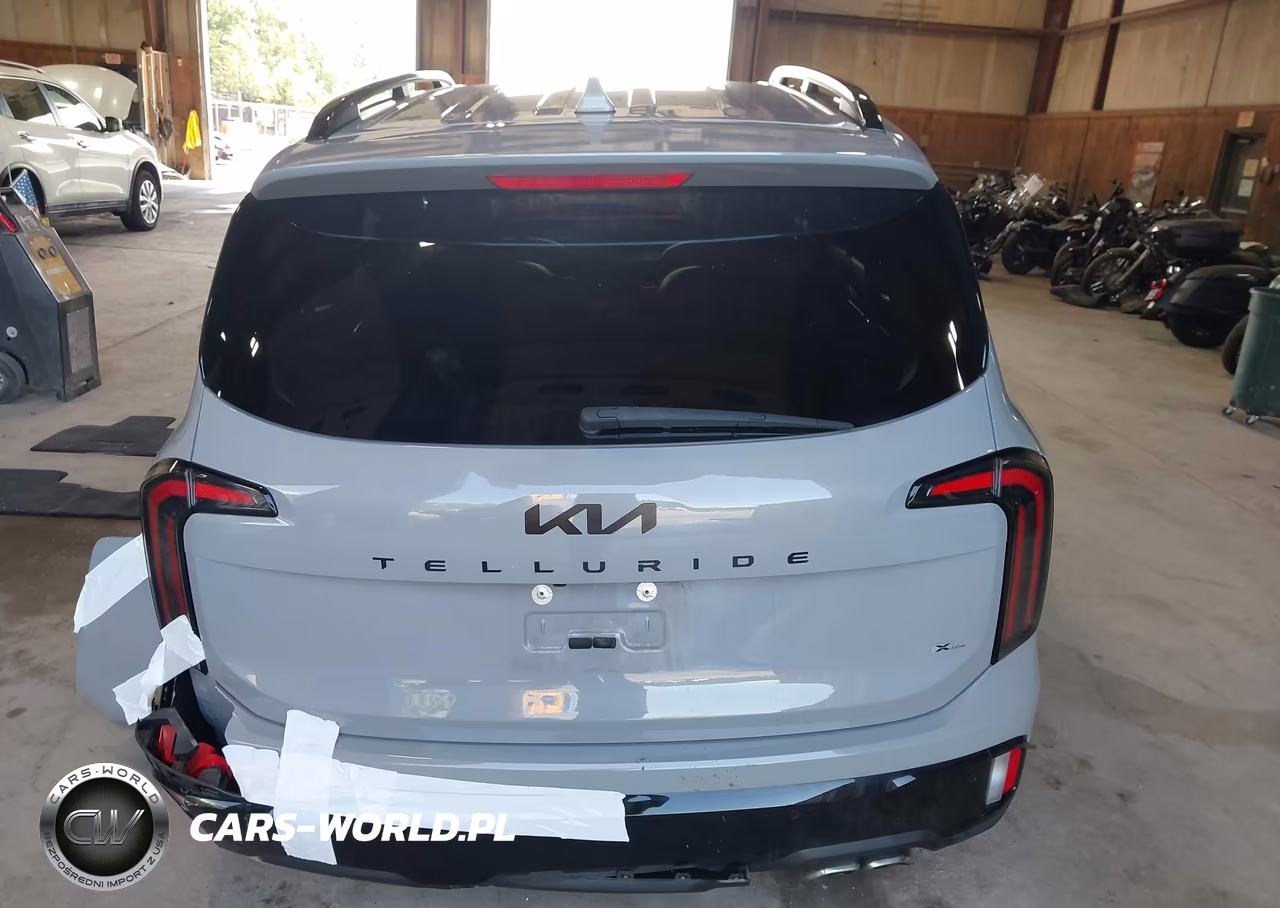 2025 Kia Telluride Ex X-Line VIN:5XYP3DGC3SG649012 - 16