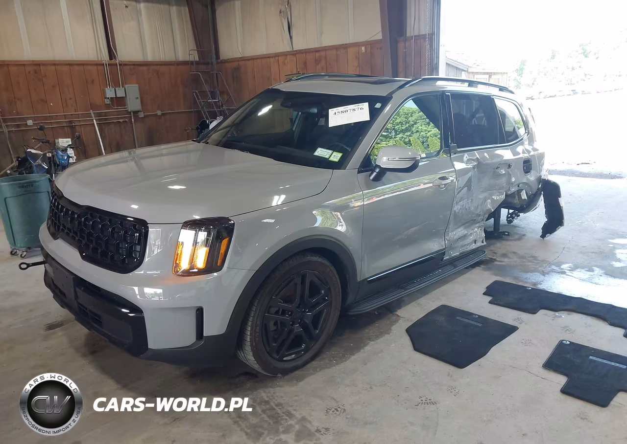 2025 Kia Telluride Ex X-Line VIN:5XYP3DGC3SG649012 - 2