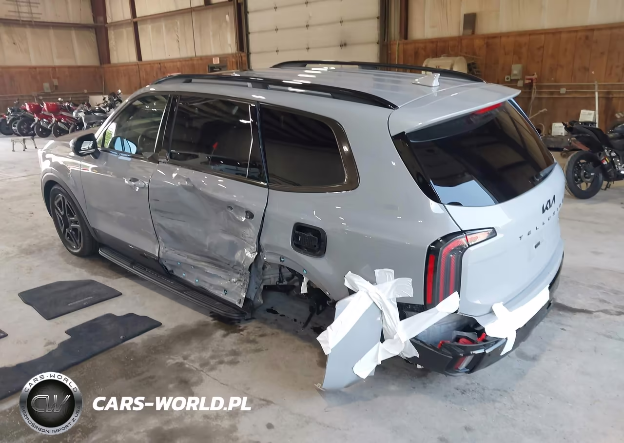2025 Kia Telluride Ex X-Line VIN:5XYP3DGC3SG649012 - 3