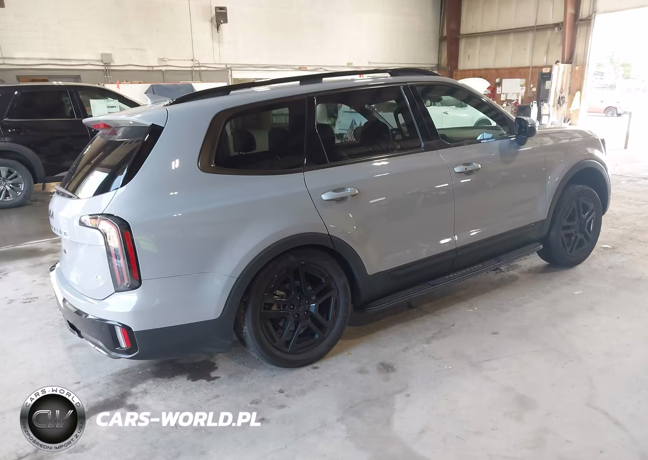 2025 Kia Telluride Ex X-Line VIN:5XYP3DGC3SG649012 - 4