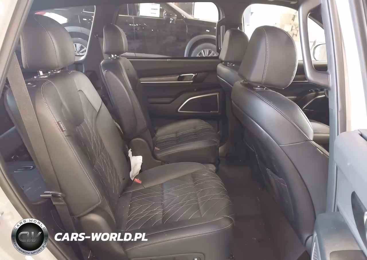2025 Kia Telluride Ex X-Line VIN:5XYP3DGC3SG649012 - 8